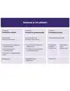 3_saeulen_konzept_IT-1