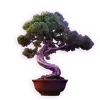 Bonsai