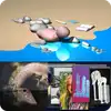 Gewinner Pax Art Awards 2026